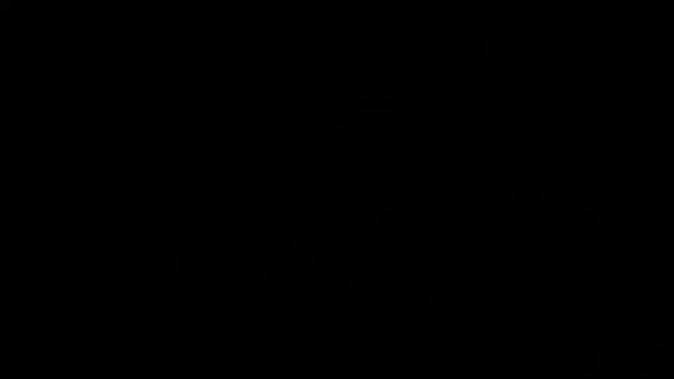 Newcomer With An Erotic Mission!