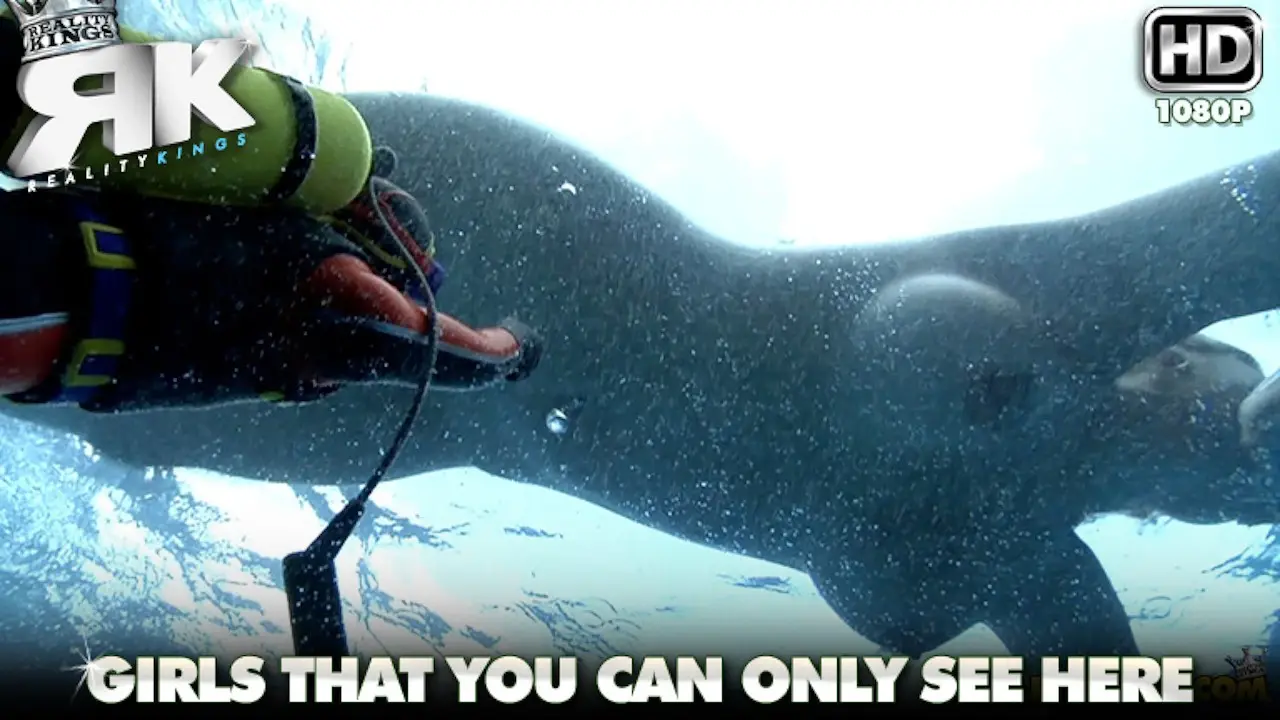 Rock The Beat (RealityKings 2009)