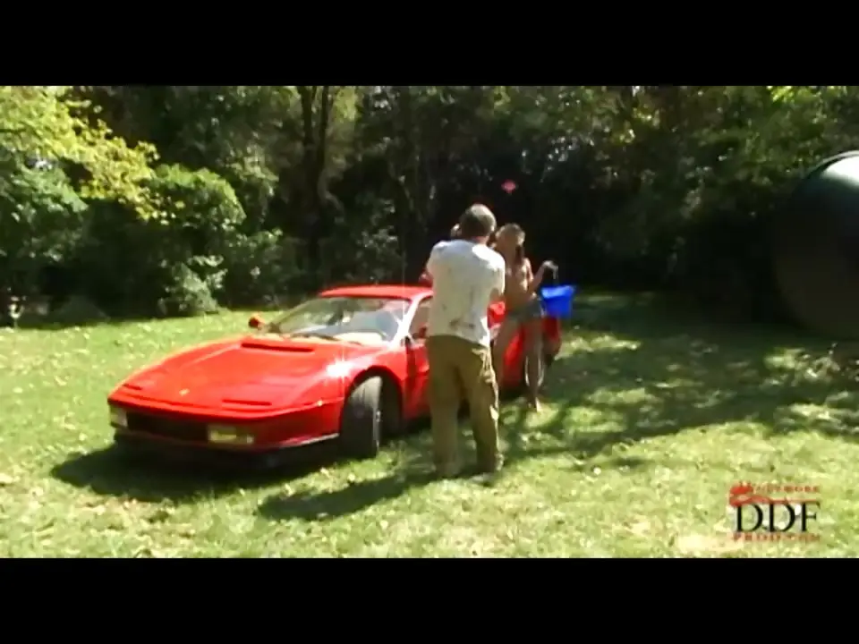 Gina Gerson - Blonde Cutie Washing A Ferrari (PornWorld 2010)