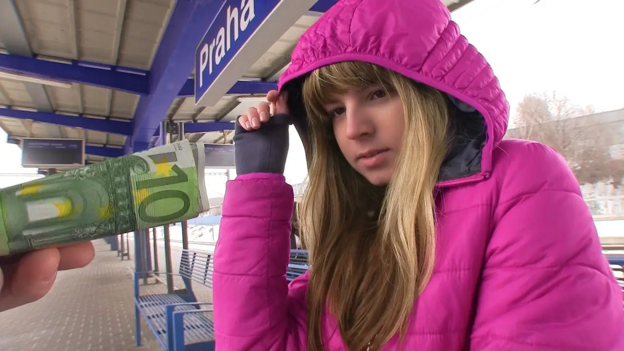 Flashing Strangers on a Train (Mofos 2013)