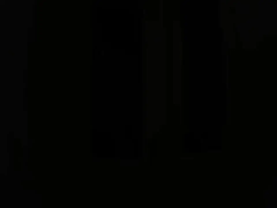 Horny Newcomer Turned To Be A Real Slut (PornWorld 2010)