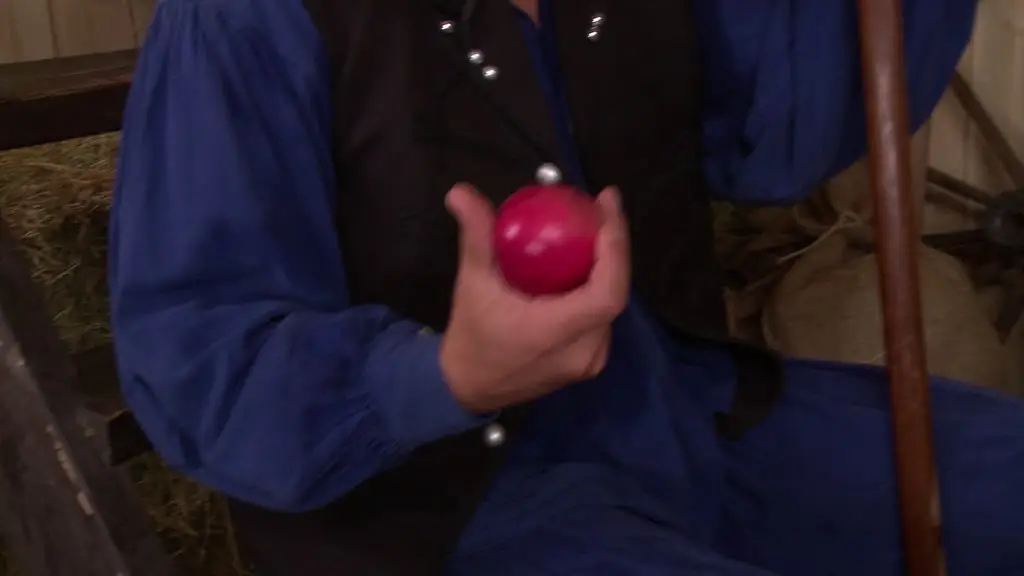 Village Venus (PornWorld 2013)