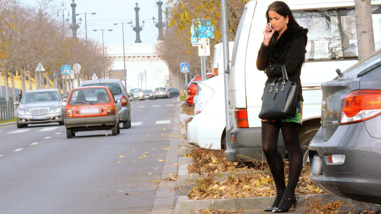 Hungarian Babe's Backseat Fuck (Mofos 2016)