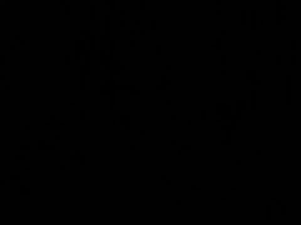 Newcomer Rocks Our Socks Off! (PornWorld 2009)