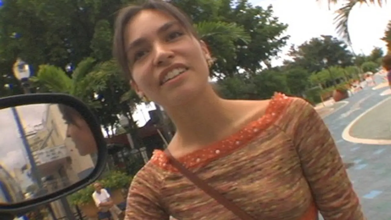 Texas Twisting (Bangbros 2005)