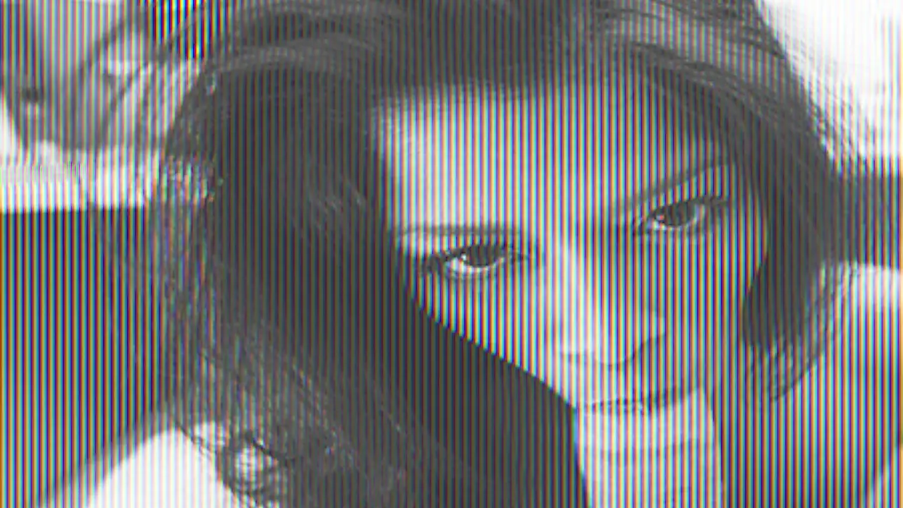 Joey Ray Love You Long Time! (Bangbros 2010)