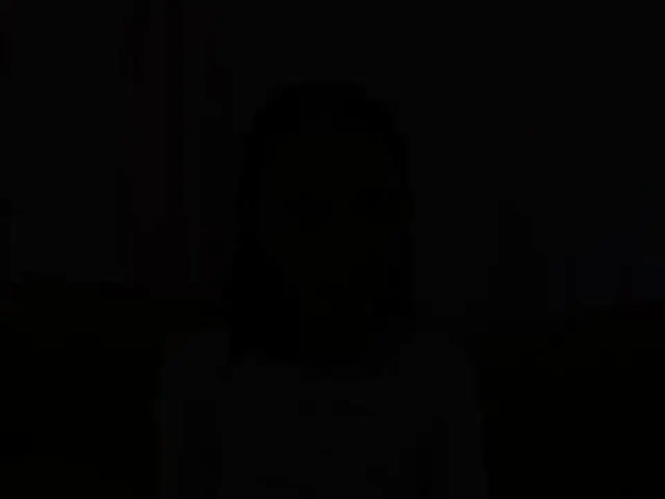 Small Titties But Nice Kitty! (PornWorld 2010)