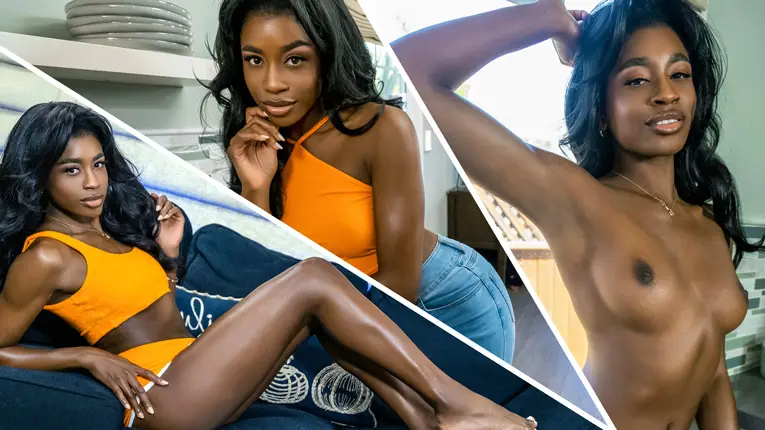 The “Art” Flick (TeamSkeet 2022)