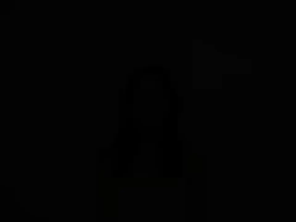 Horny Newcomer Girl Susie (PornWorld 2010)